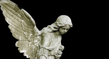 Beautiful angel face of a woman. Mercy and peace. (monument of the nineteenth century by an unknown author)	
