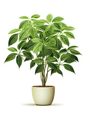 Illustration of a small money tree in a pot on white background 
