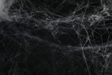 Creepy white cobweb on black background, closeup