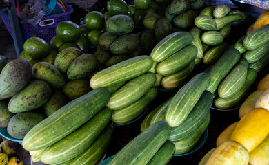 Piles of neatly organised freshly harvested and local cucumbers at fruit and vegetable market in Dili, Timor-Leste, Southeast Asia