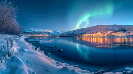Selbstklebende Fototapeten aurora borealis, northern winter-landscape © Comofoto
