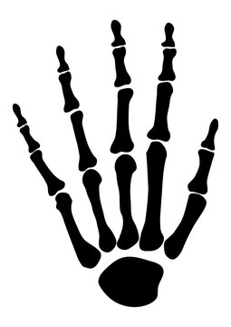 Radiograph of hand icon