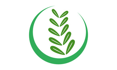 nature leaf vector logo icon
