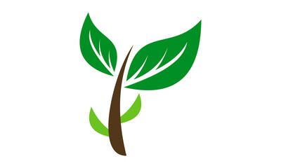 plant vector leaf icon logo