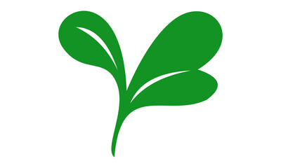 vector leaf illustration logo icon