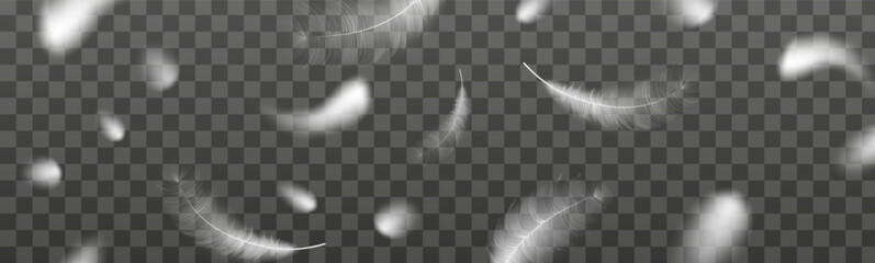 Flying realistic vector goose or swan white feathers of various shapes. Ecological feather filler for pillows, blankets or jackets.Vector concept design. © gala