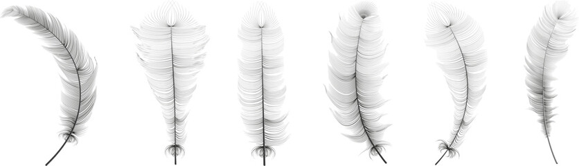 Flying realistic vector goose or swan white feathers of various shapes. Ecological feather filler for pillows, blankets or jackets.Vector concept design. - obrazy, fototapety, plakaty