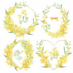 Watercolor floral illustration set yellow mimosa, wreaths, frames,  green leaf branches collection, for wedding stationary, greetings, wallpapers, fashion, background.