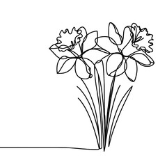 Daffodils in a line drawing style
