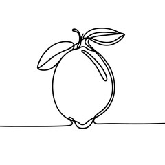 Lemon in a line drawing style