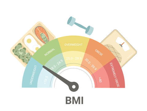 BMI Body mass index chart indicator. Weight control with fitness and healthy food. Vector flat illustration