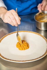 pescado lomo de pescado servido sobre un rissotto de arroz marinero con alioli de algas verde delicioso y sabroso, alimento, cocción, chef, mano, cocina, carne, restaurante, comida, chapa, cena, cuchi