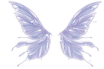 Fototapeta na wymiar Fairy butterfly wings drawing Illustration Multiplecolor Set