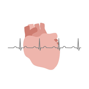 The icon concept of Electrocardiogram (ECG) or electrocardiography (EKG) reading over the heart of heartbeat measurement.