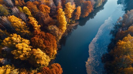 Naklejka na ściany i meble A picturesque autumn landscape of a river, adorned with colorful trees and leaves, surrounded by a serene outdoor setting