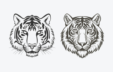An illustration featuring the tiger's face against a white backdrop. The drawing is clear and simple, 