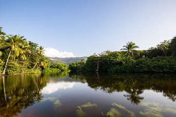 Fototapeta na wymiar Guadeloupe, a Caribbean island in the French Antilles. Landscape and view of the Grande Anse bay on Basse-Terre. a mangrove arm directly on the river, beach