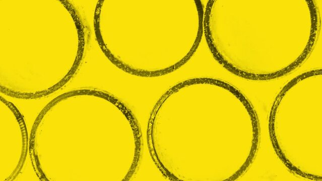 Circle Circular Texture Video Slide Transitions Yellow