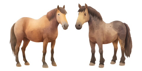 Obraz premium cute brown horse head watercolor illustration