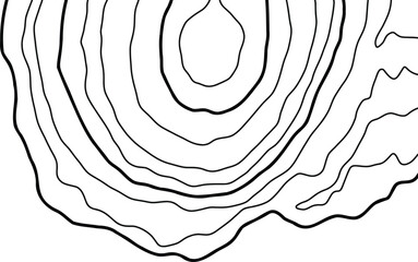 Topographic Map Lines