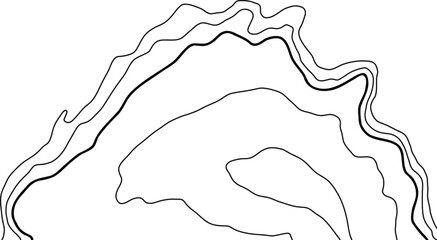 Topographic Map Lines