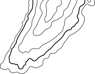 Topographic Map Lines