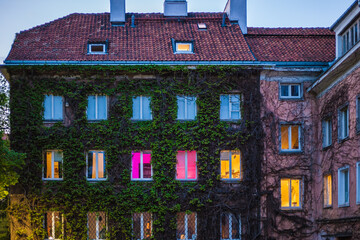 Dom pokryty bluszczem z kolorowymi oknami - obrazy, fototapety, plakaty