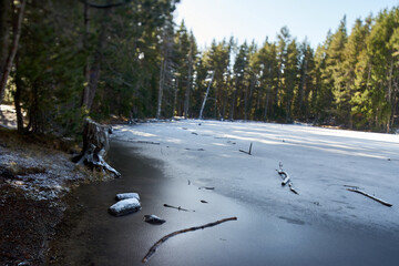 Detail of a lake with frozen water in the middle of a forest surrounded by green trees with the background out of focus