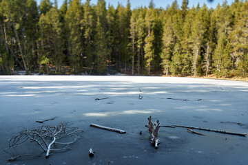 Detail of a lake with frozen water in the middle of a forest surrounded by pieces of branches on top of surrounded by green trees with the background out of focus