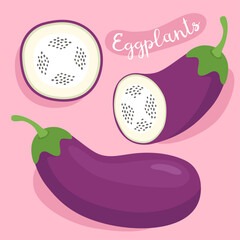 Eggplants. Fresh organic vegetable. Eggplant with slices. Ingredient for cooking. Vector illustration. 