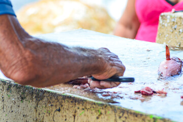 Fish seller cleaning and preparing fresh fish for customers. 