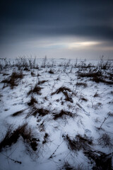 Day in the winter forest . Blue sky and clouds. Snow in the forest . Woods in snow . Mystery forest in wintertime . 