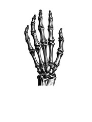 Macabre Touch: Vector Illustration of a Breathtaking Skeleton Hand
