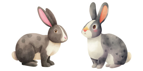 Fototapeta premium cute rabbit watercolour vector illustration