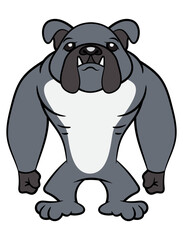 Funny Muscular Bulldog cartoon characters standing as a Guardian. Best for sticker, logo, and mascot with Pet themes