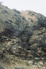 Obraz premium Mountains of Armenia in spring - film photo