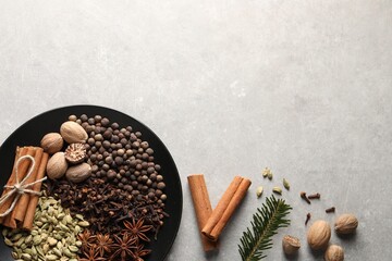 Different spices, nuts and fir branch on light gray textured table, flat lay. Space for text