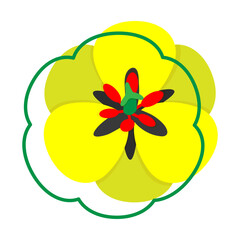 Yellow tulip. View from above. Vector illustration