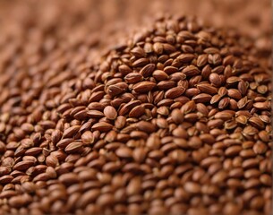 Macro shot of a Flaxseeds