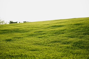 Tableaux ronds sur aluminium brossé Prairie, marais Park with green grass field