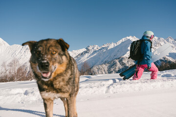 Female snowboarder freerider  hiking with dog on ski resort, winter sport outdoor, sunny day in mountains