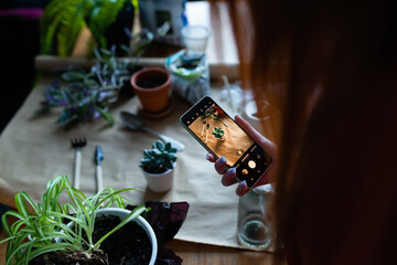 workplace transplant a flower, person taking photo on mobile