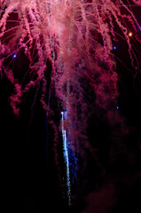fireworks in the night sky