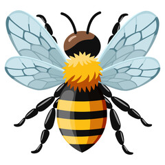 Bee. Flying insect. Close-up. Cartoon drawing. Can be used for web design prints and collages.