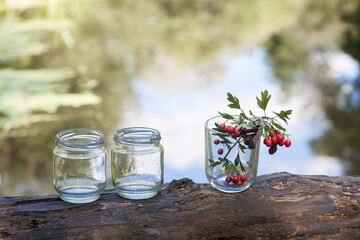 A glass transparent glass with a rowan branch, and two empty small jars, stand on a log, against the backdrop of a picturesque river. Image for your creative design or illustrations.
