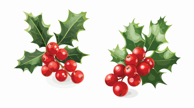 Holly berry icon. Christmas symbol vector