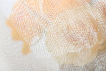 A bouquet of roses covered with a fragment of the bride's veil.