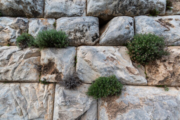 Priene Ancient City is an ancient Greek city located in the Söke district of Aydın province.