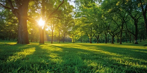 Tuinposter Lush green trees in public park embodying tranquility of nature sunny landscape perfect for spring and summer showcasing beauty of well manicured lawns and vibrant foliage ideal for outdoor relaxation © Bussakon