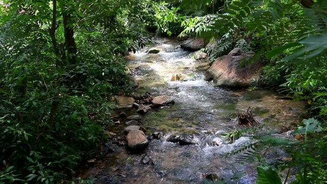 Brazilian Red River - This kind river is very common in Brazilian Savannah.